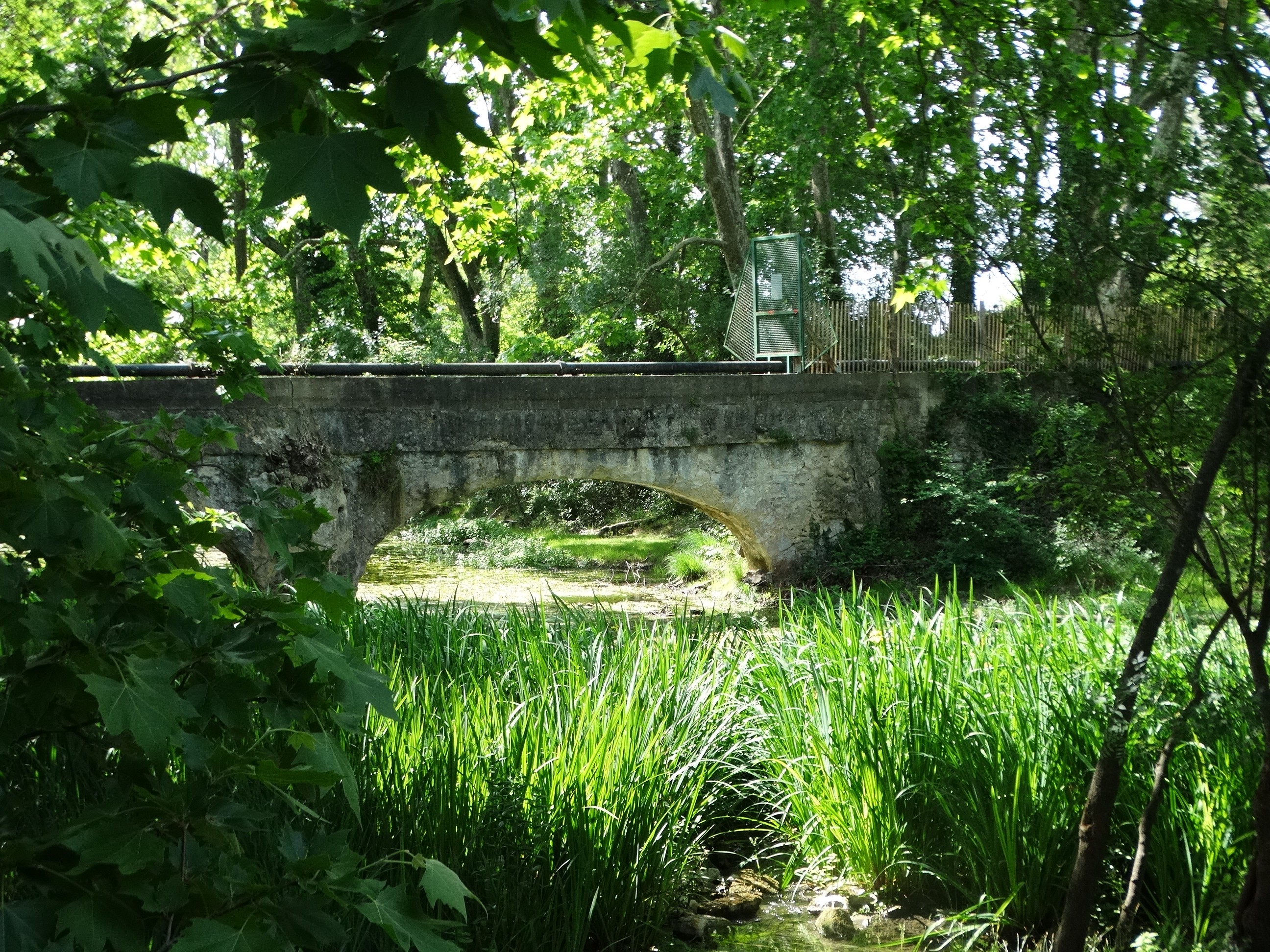Dsc01010 1