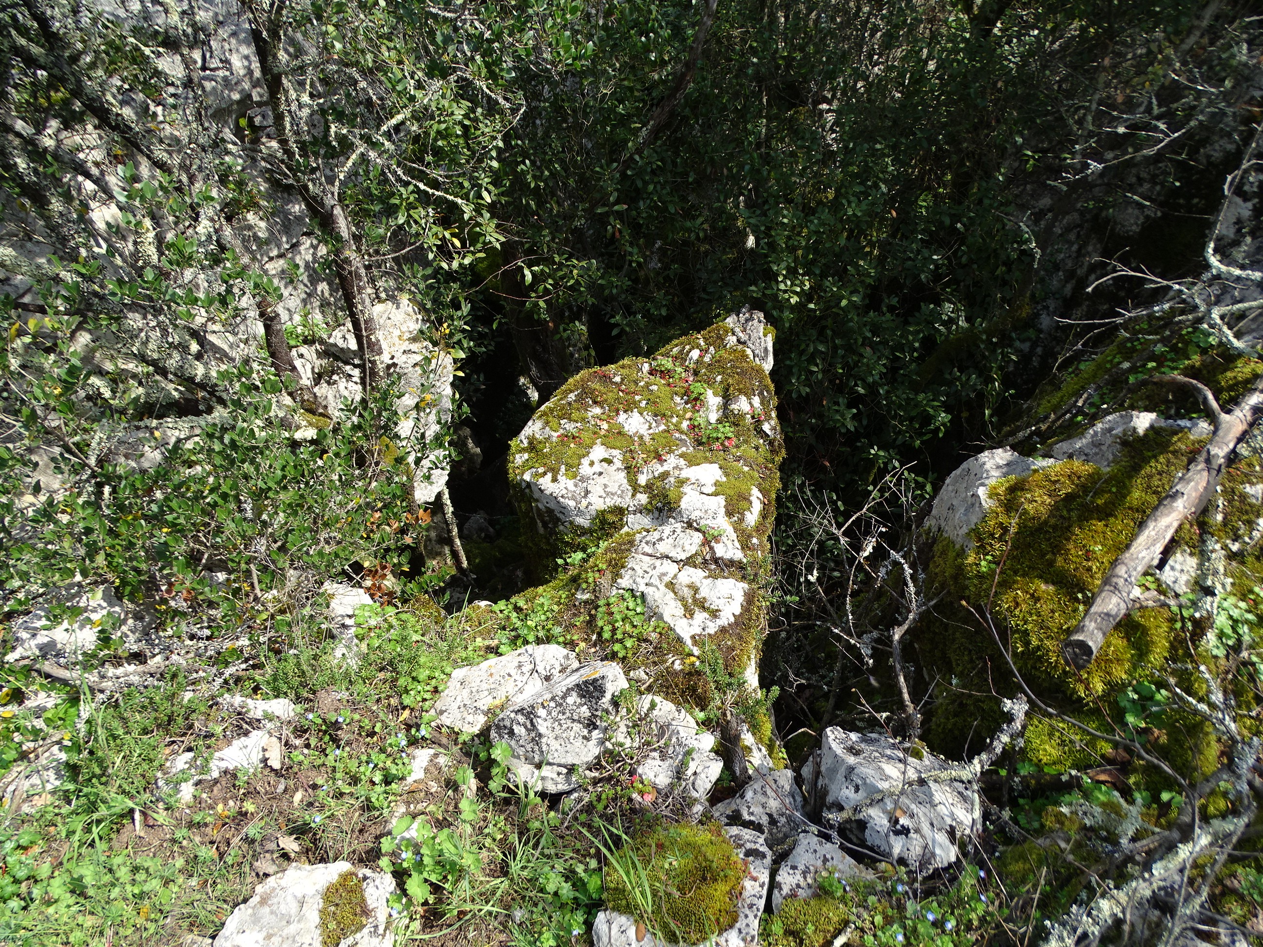 Dsc02482 1