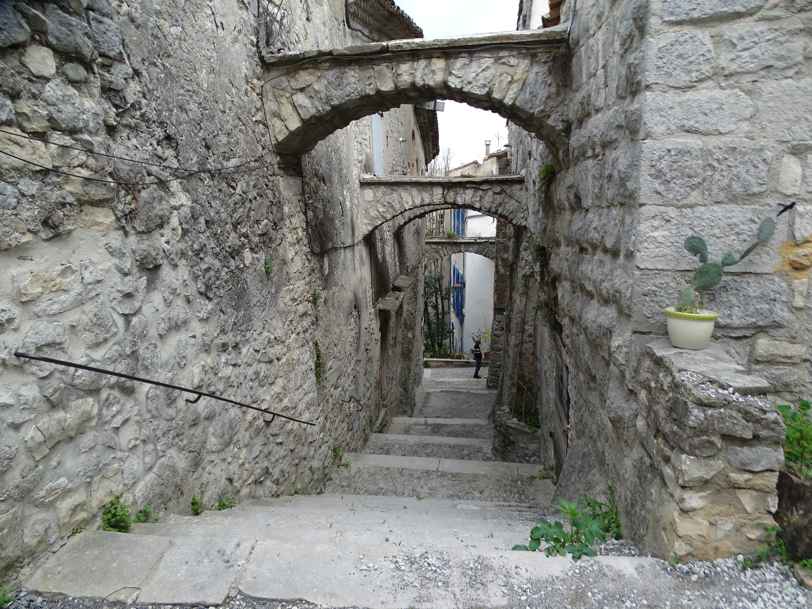 Dsc02538 1