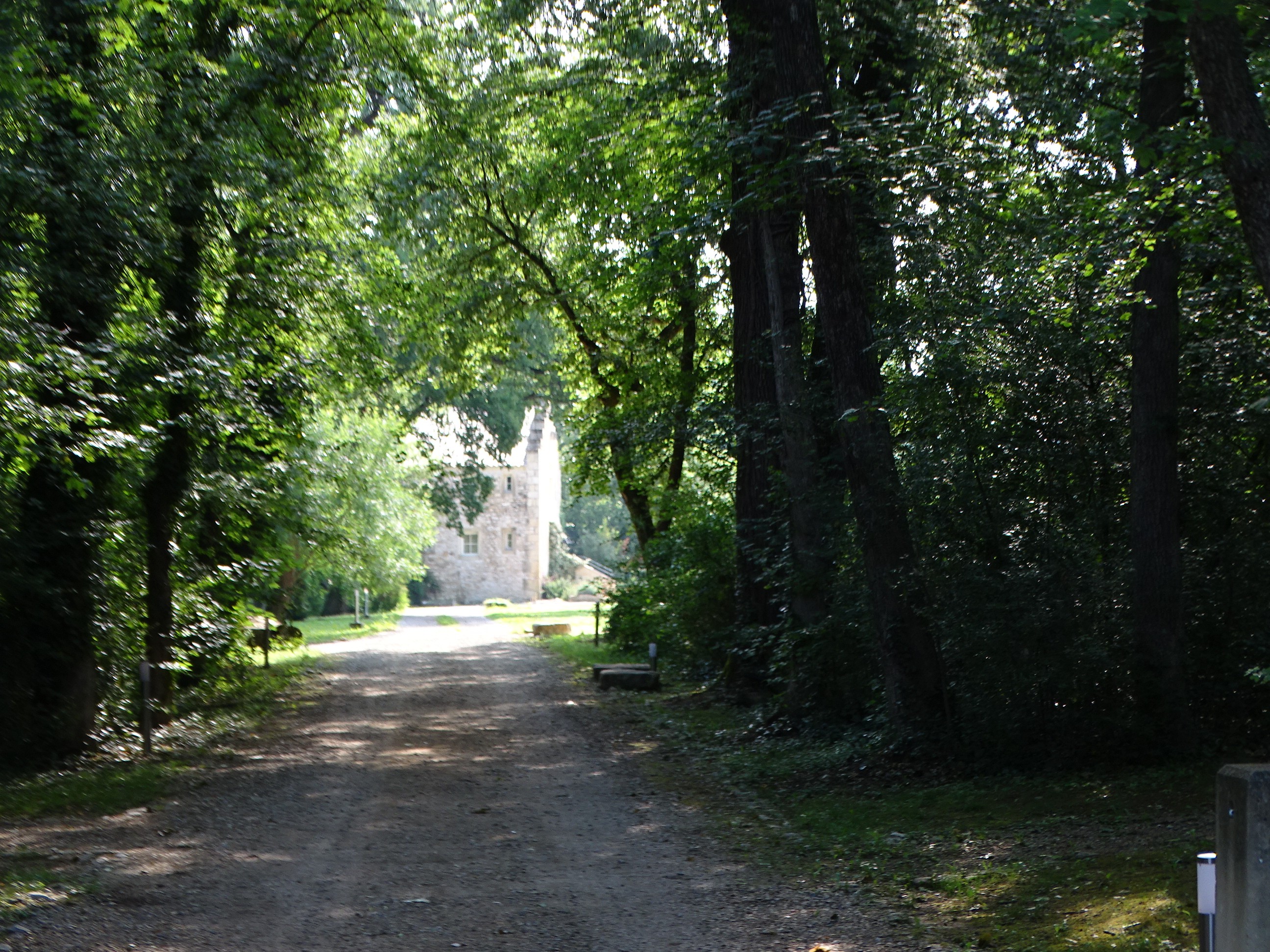 Dsc05010