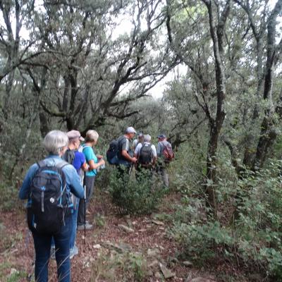 04 . 27/09/24 CHAPELLE D'ALLEYRAC ET PONT DE CAMMAOUS