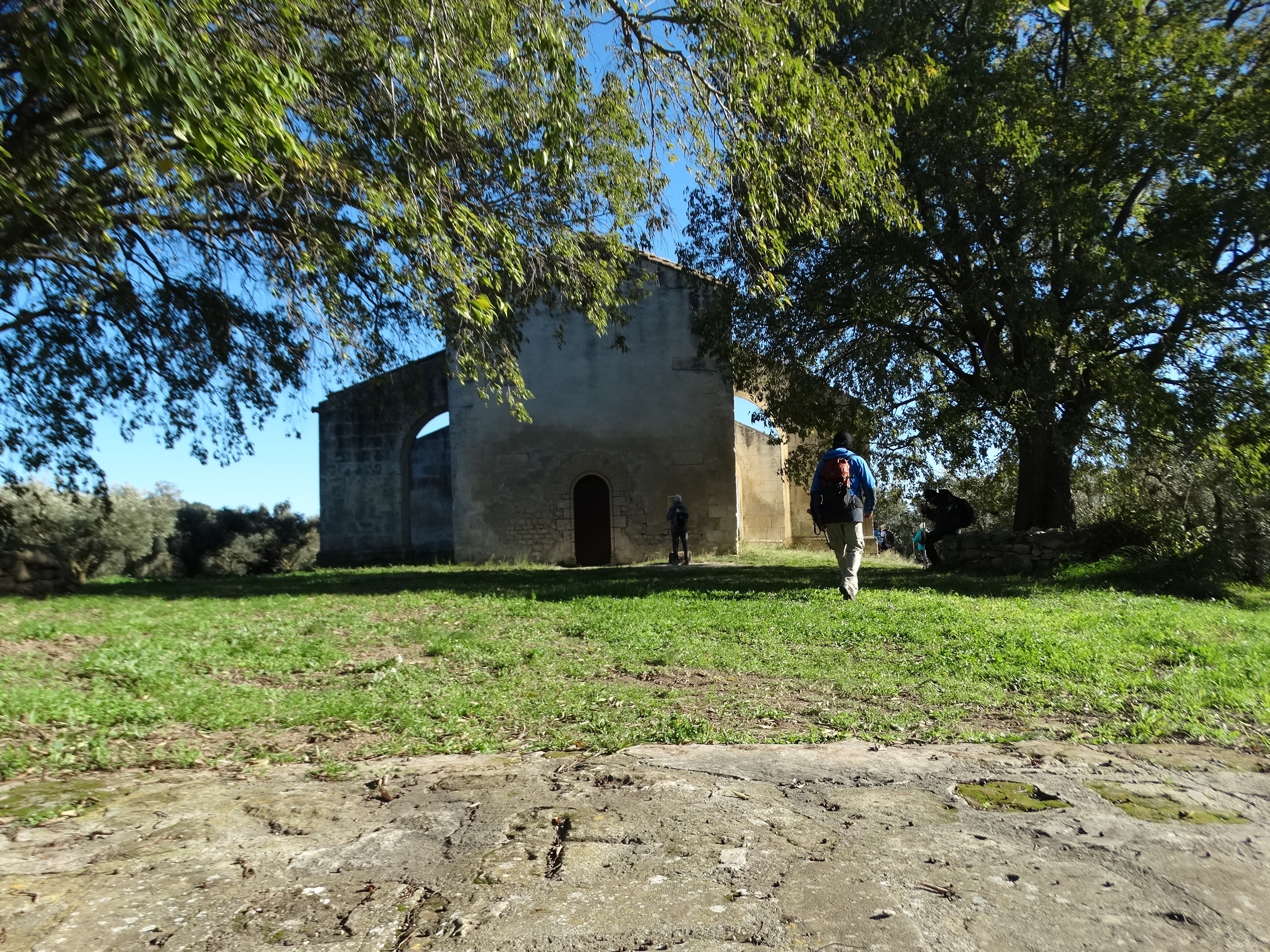 Dsc06164