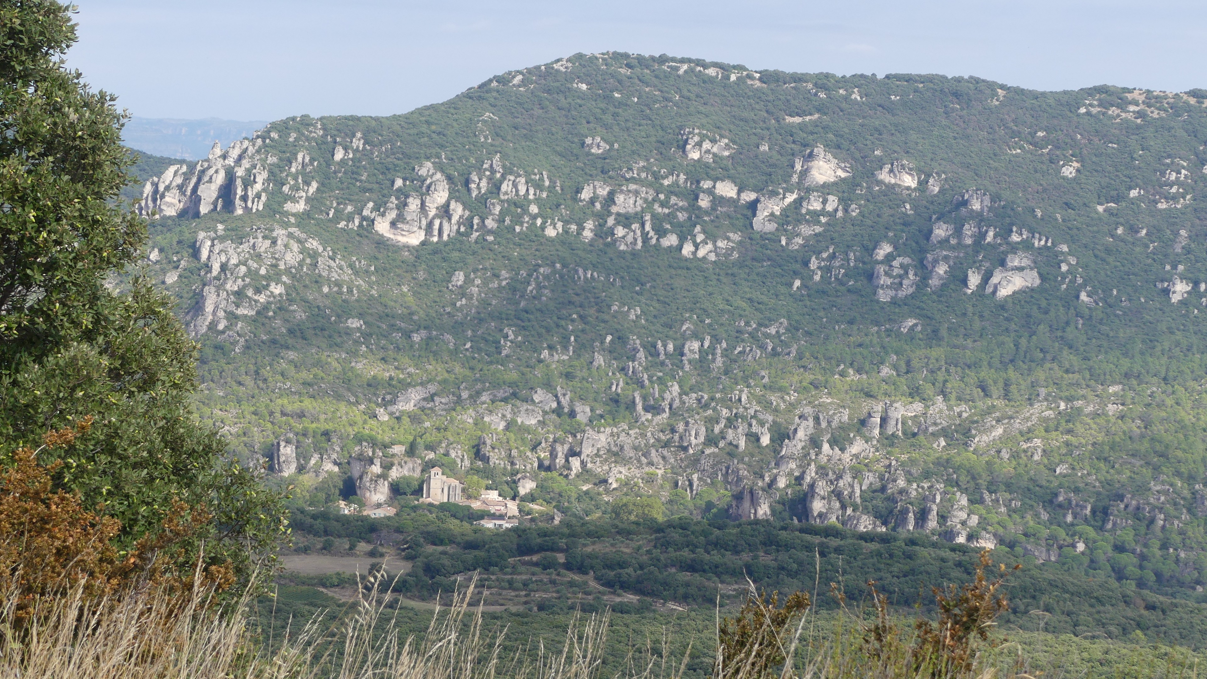 P1050628 1