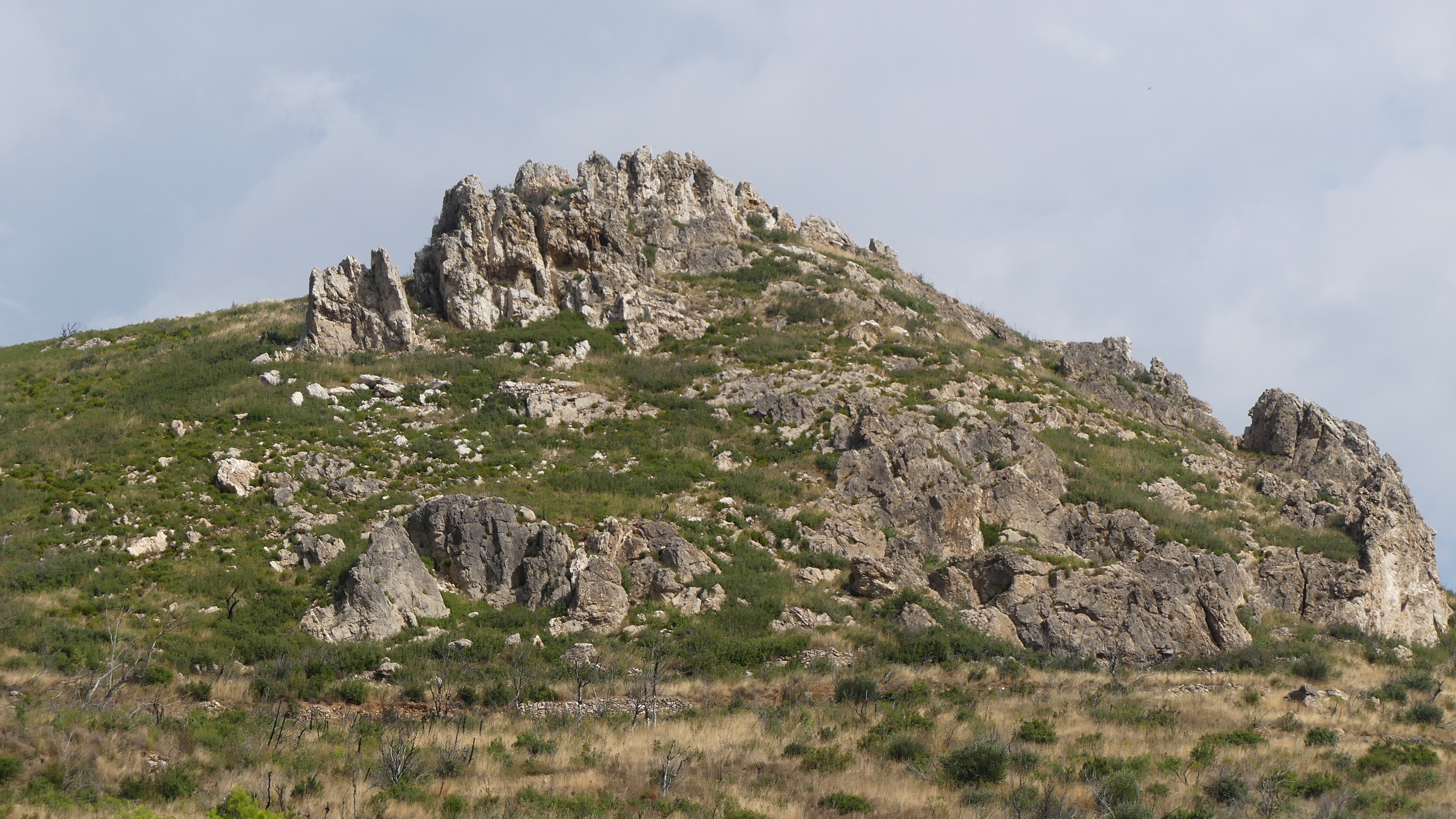 P1050719