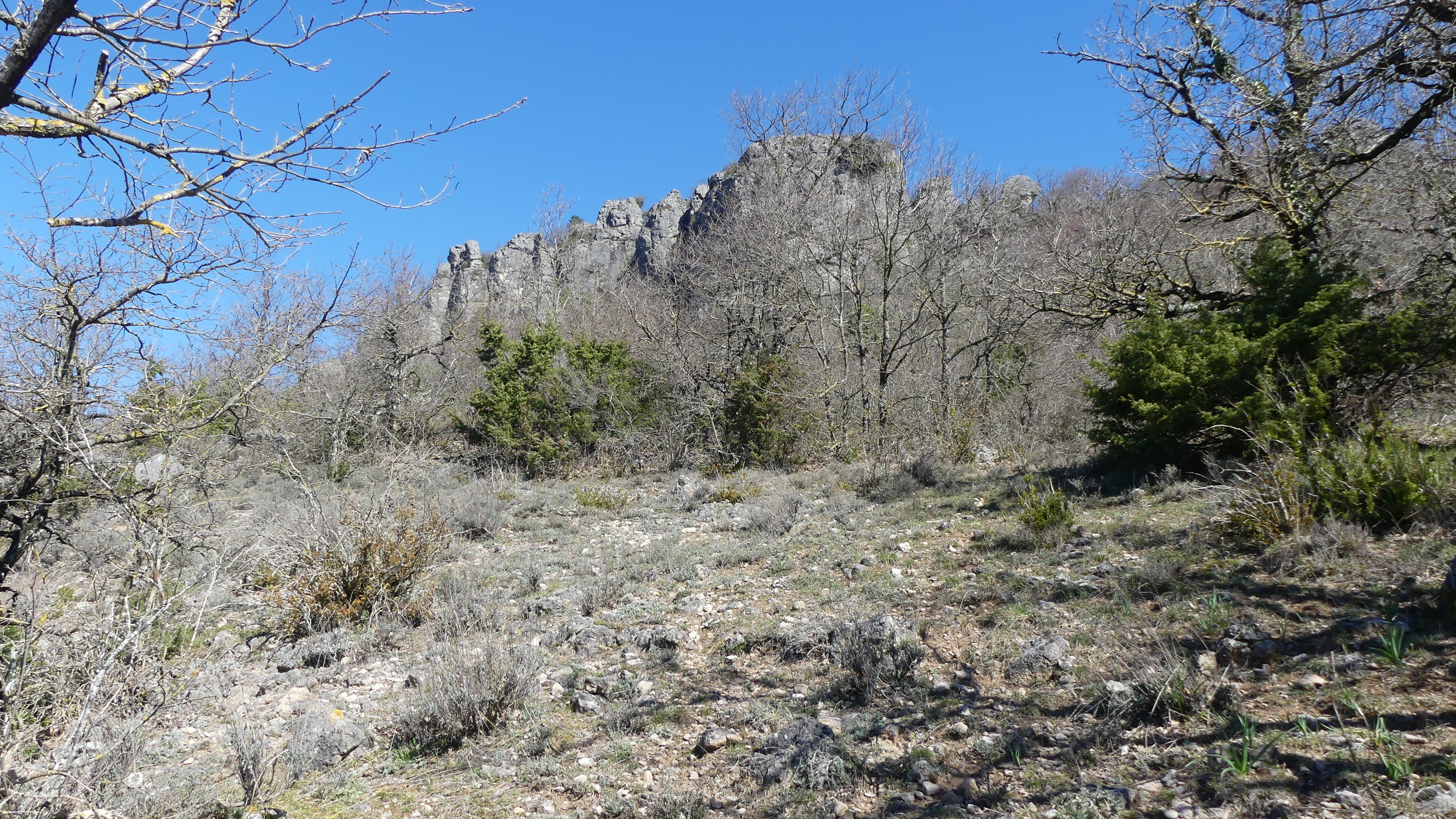 P1060504