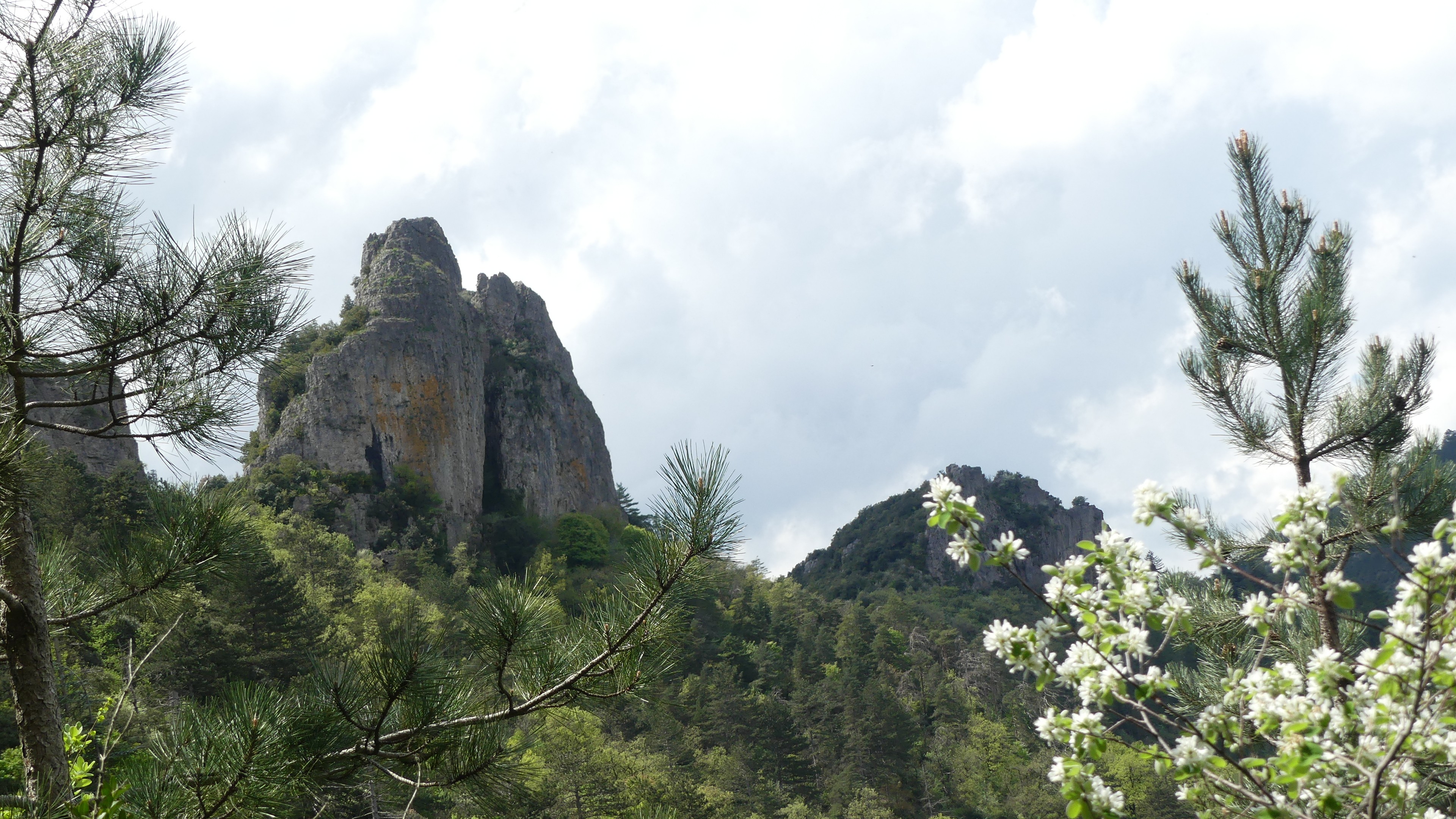 P1070367