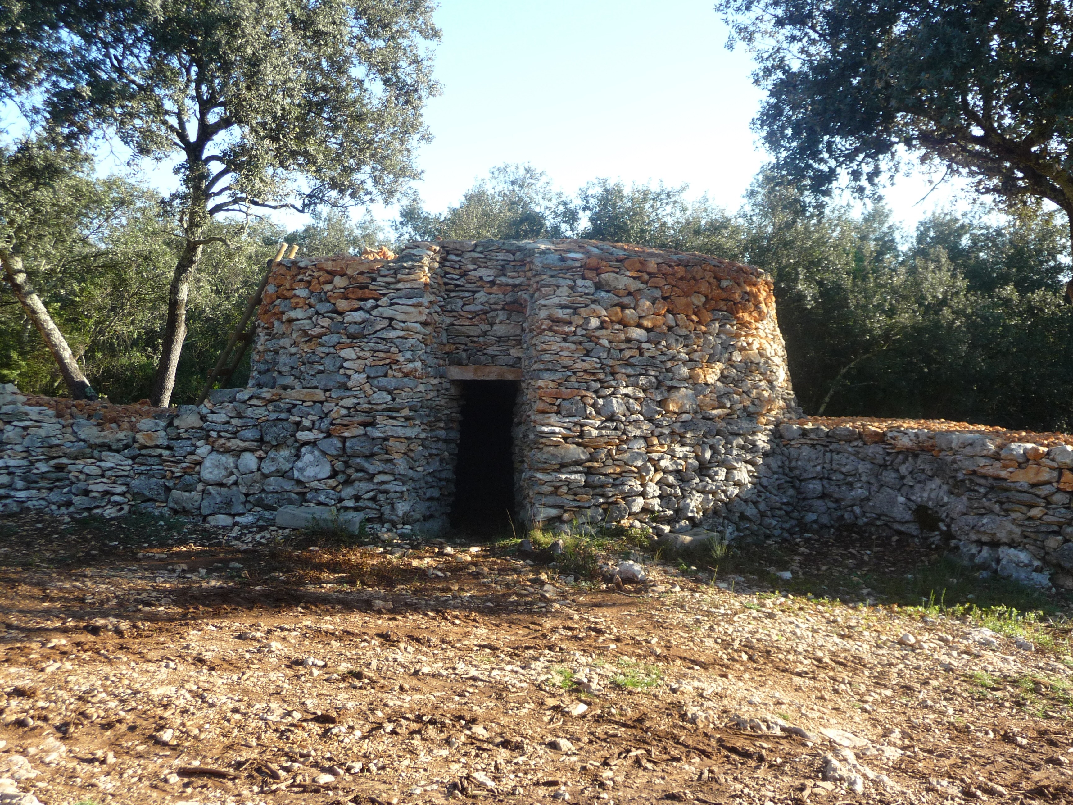 P1090071 1