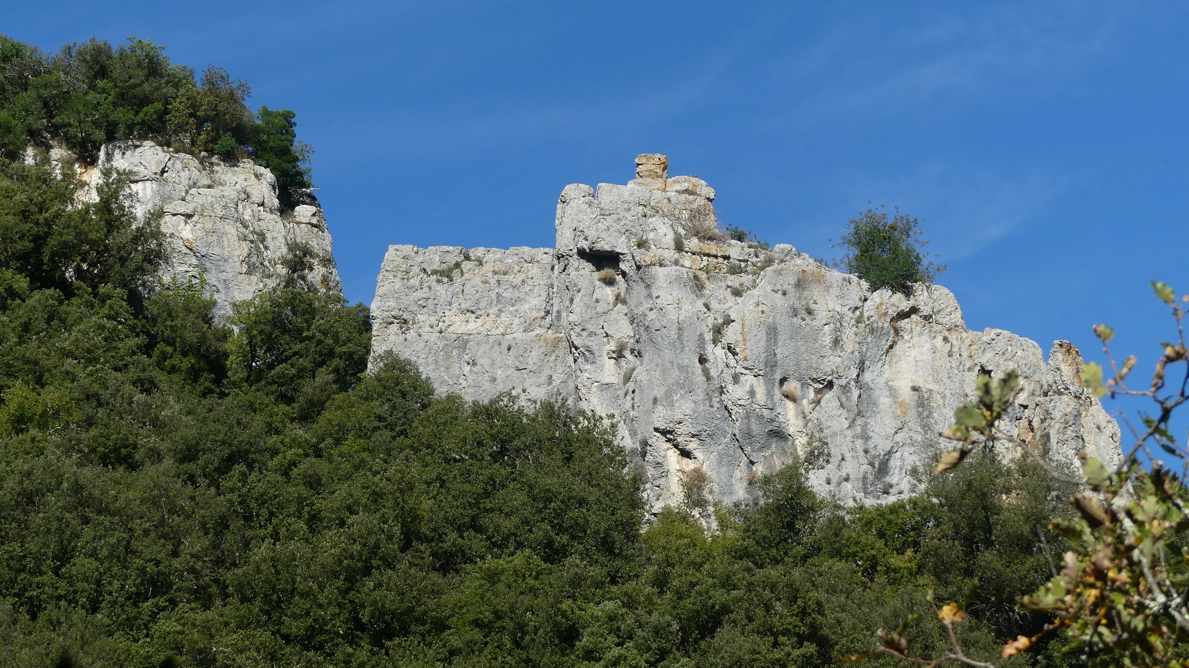 P1090164 1