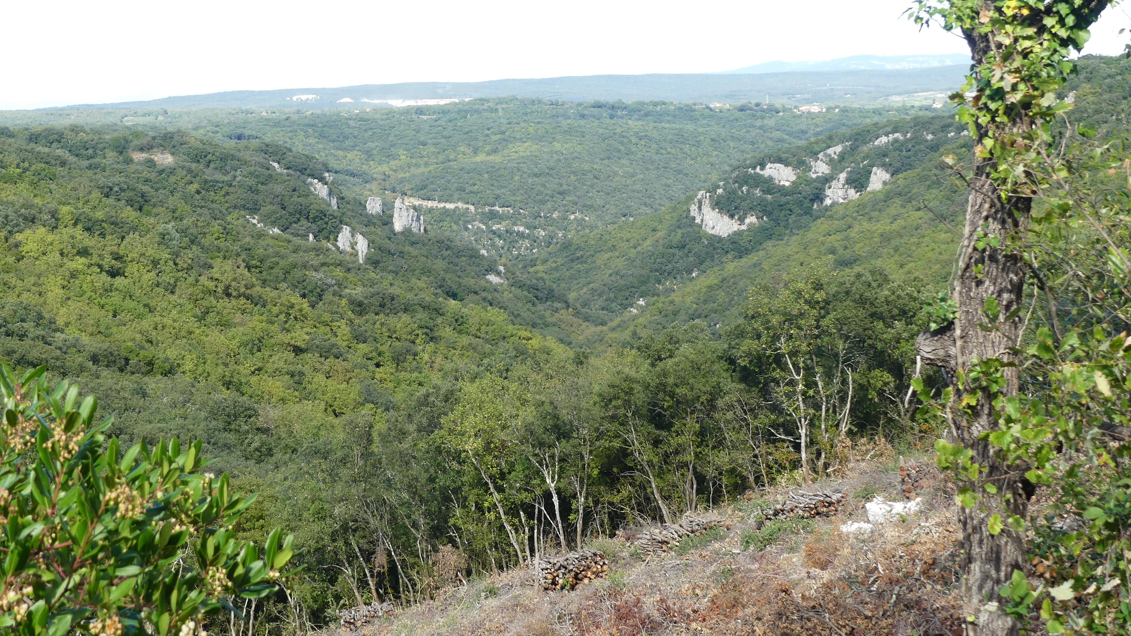 P1090203