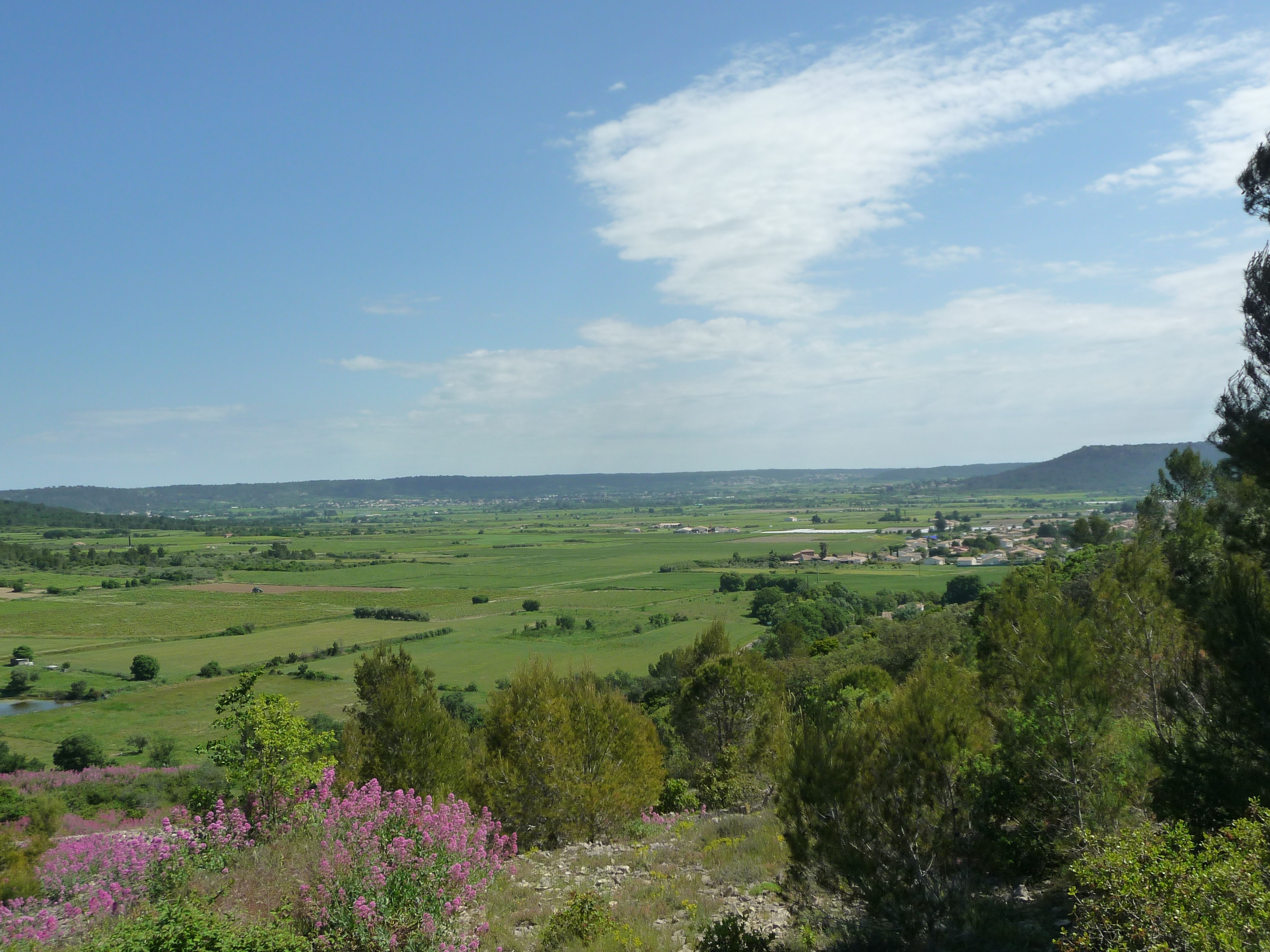 P1090964