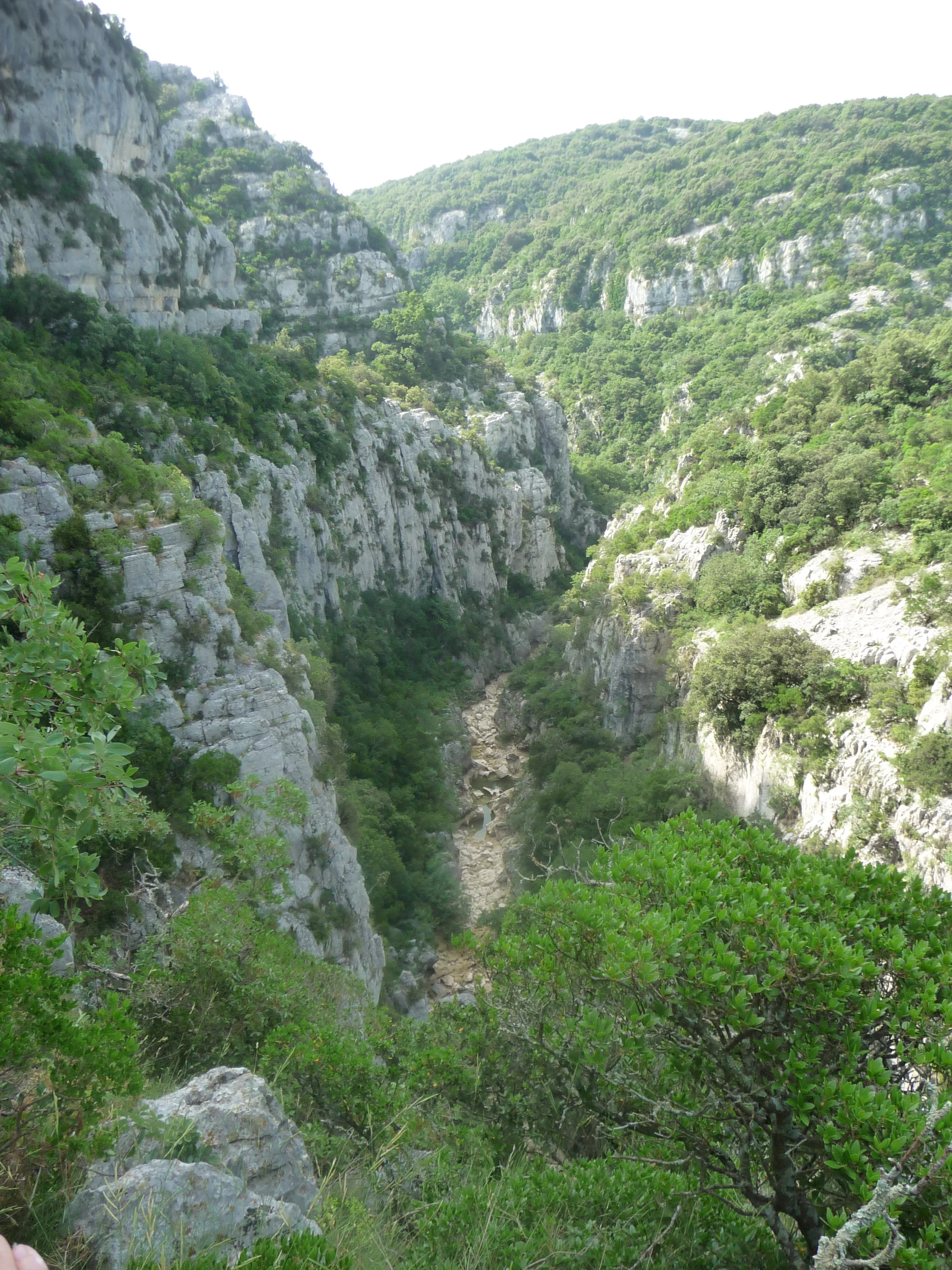 P1100474