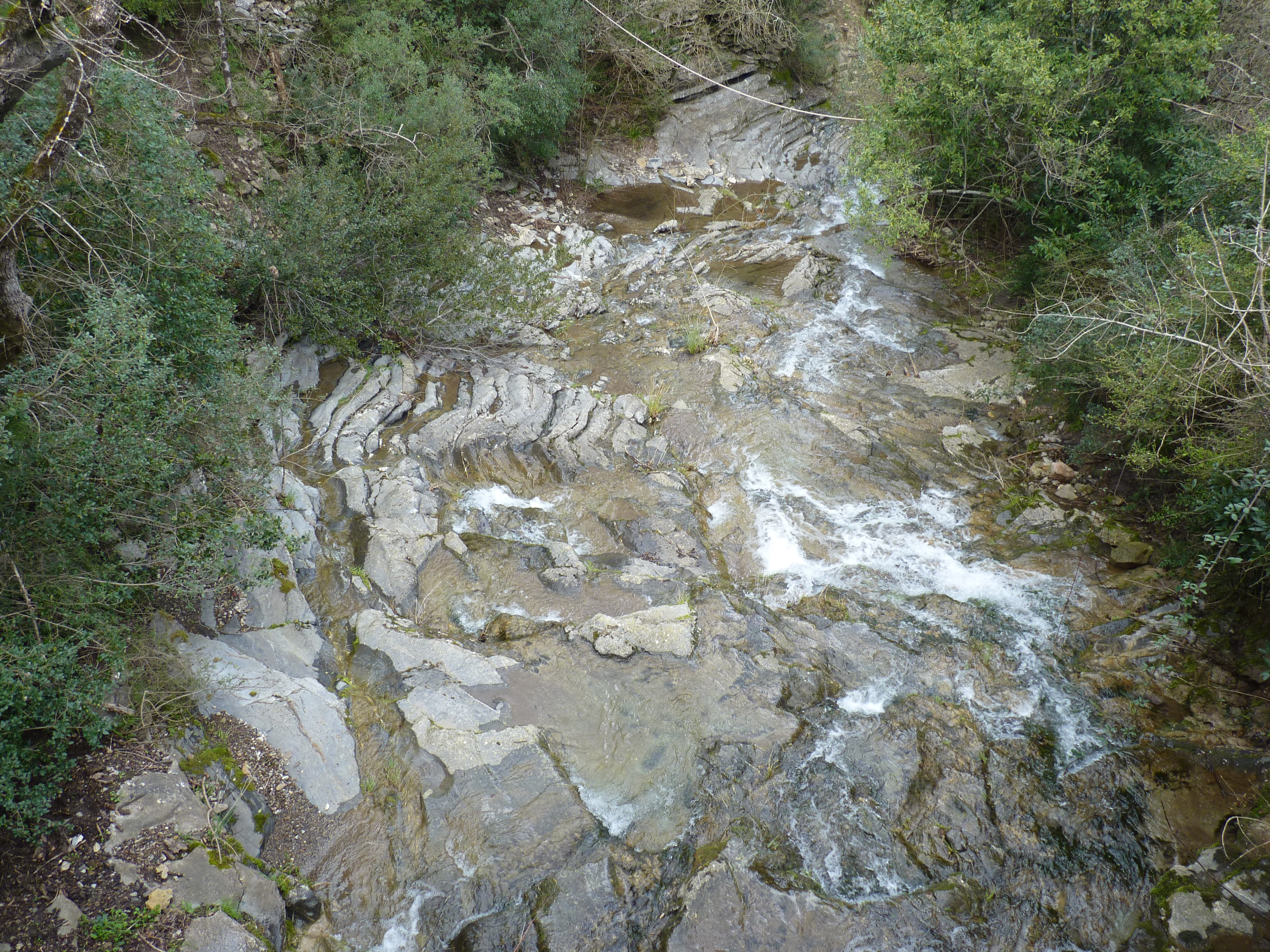 P1330241